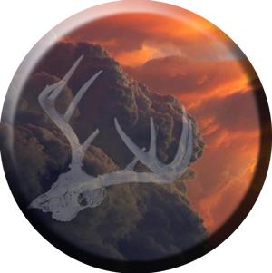 mule-creek-ranch-deer-image